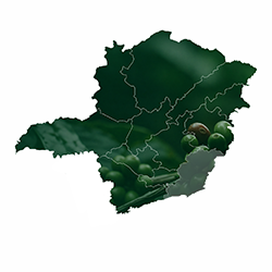 Mapa do estado